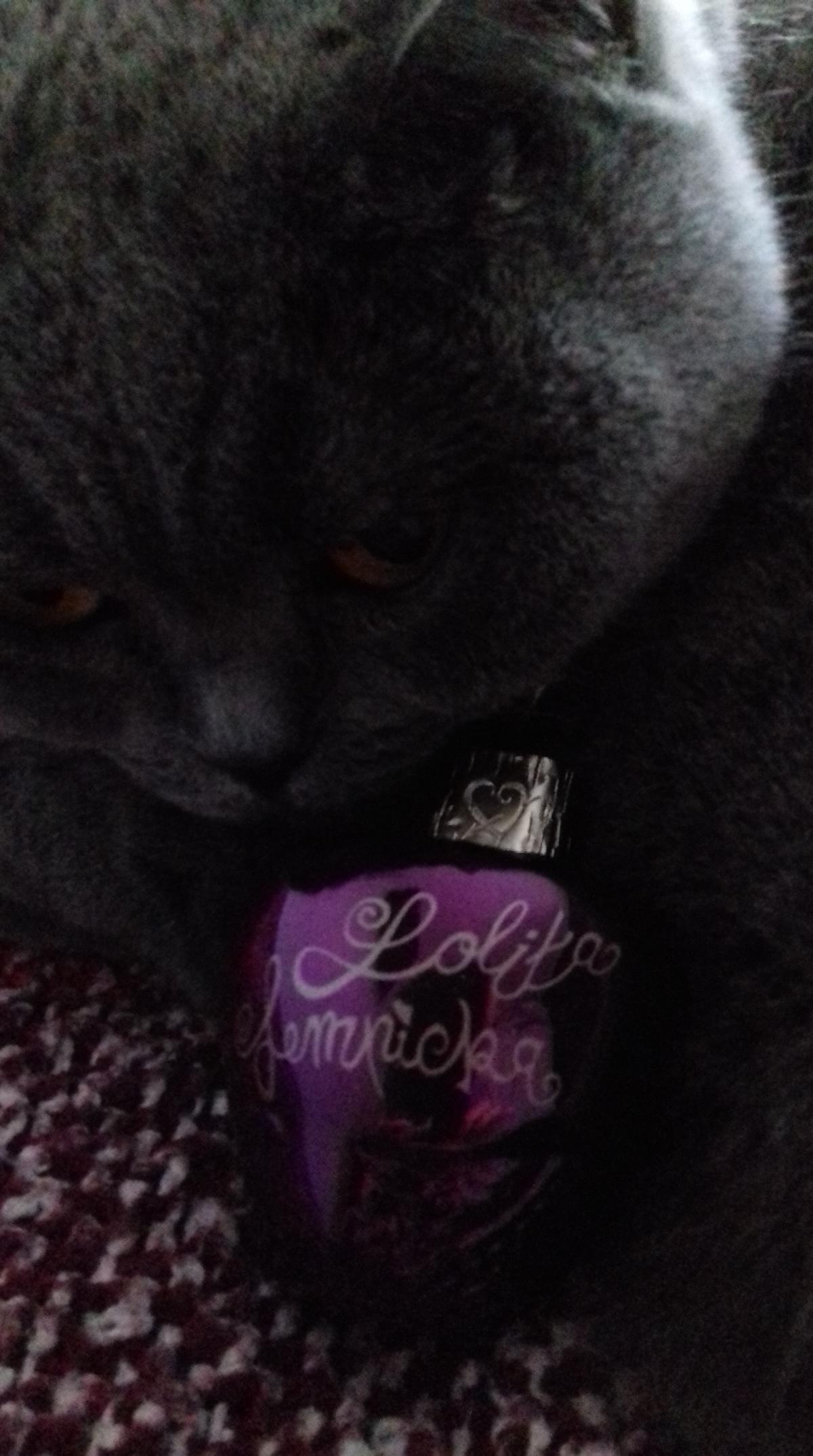 عطر ادکلن ل پارفوم دو لولیتا لمپیکا لولیتا لمپیکا - Le Parfum de Lolita Lempicka Lolita Lempicka - بررسی، قیمت و خرید