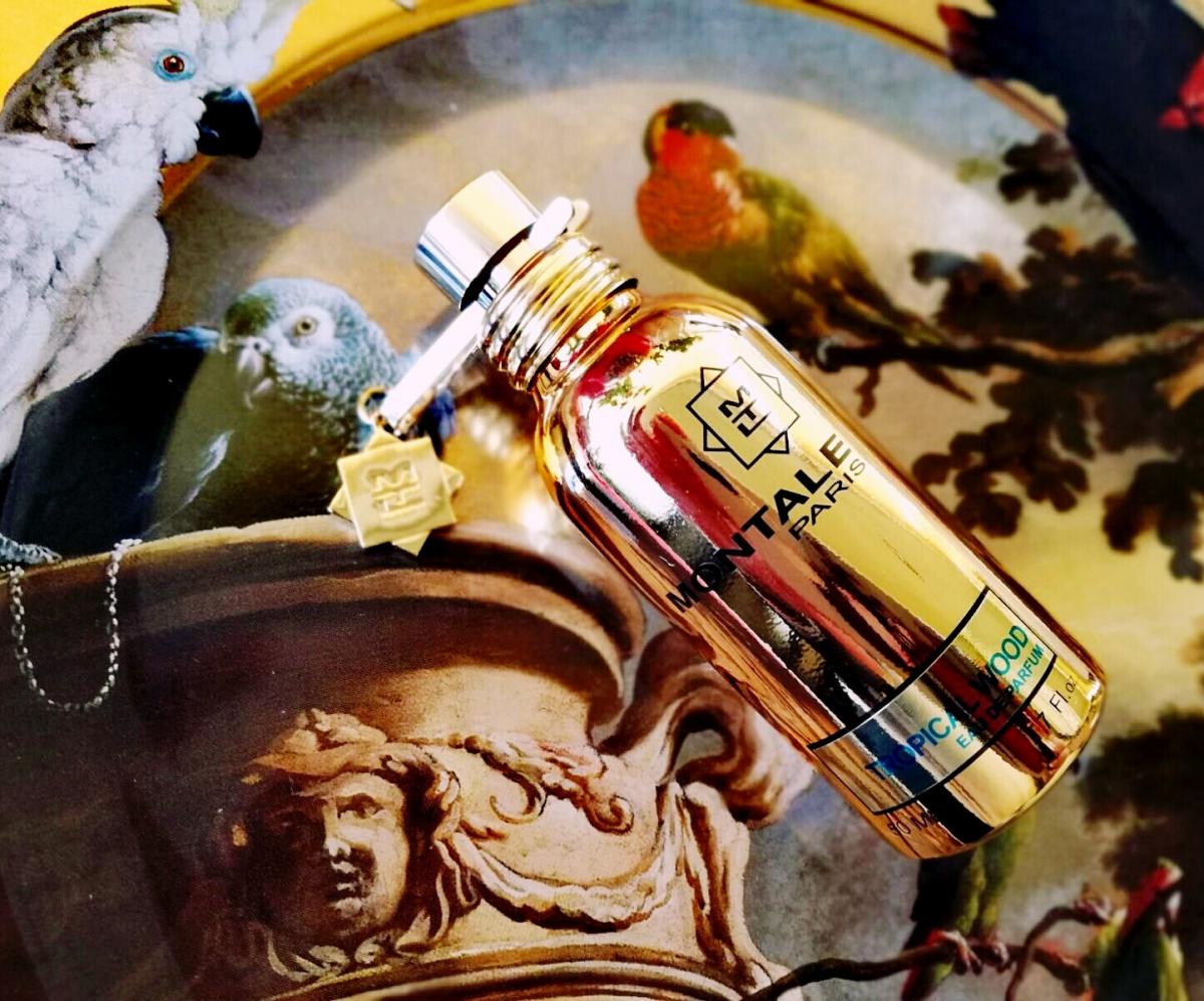 عطر ادکلن تروپیکال وود مونتال - Tropical Wood Montale - بررسی، قیمت و خرید