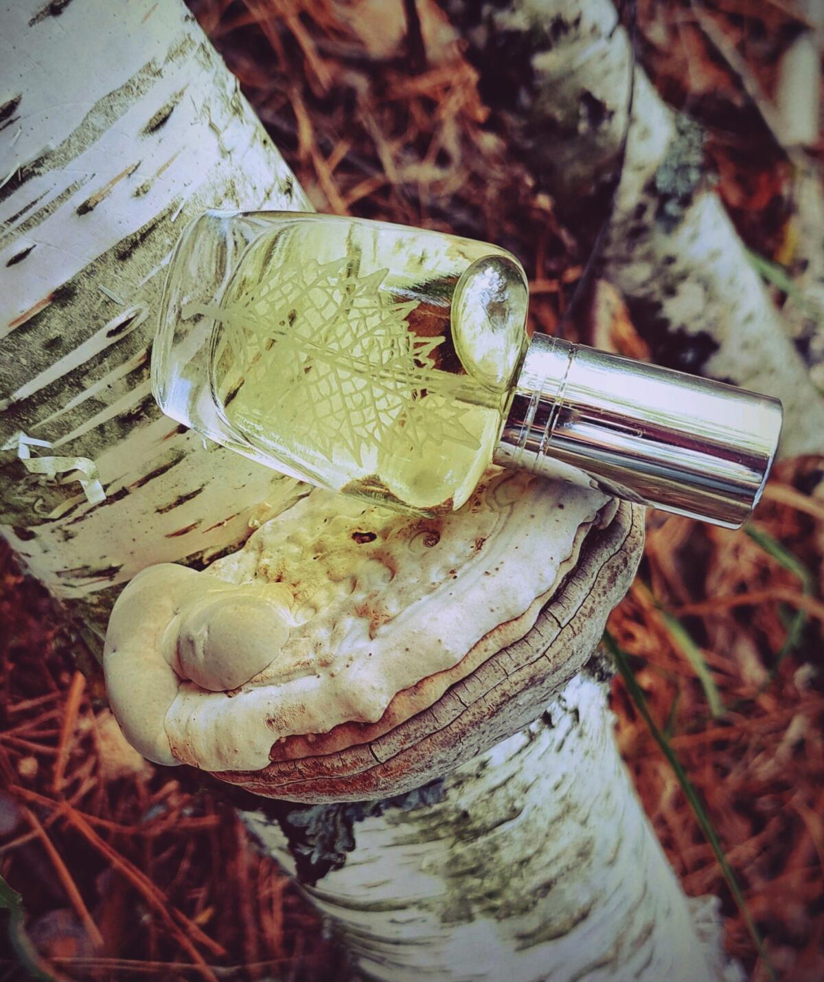 عطر ادکلن بیرچ ساپ لادانیکا - Birch Sap Берёзовый Сок Ladanika - بررسی، قیمت و خرید