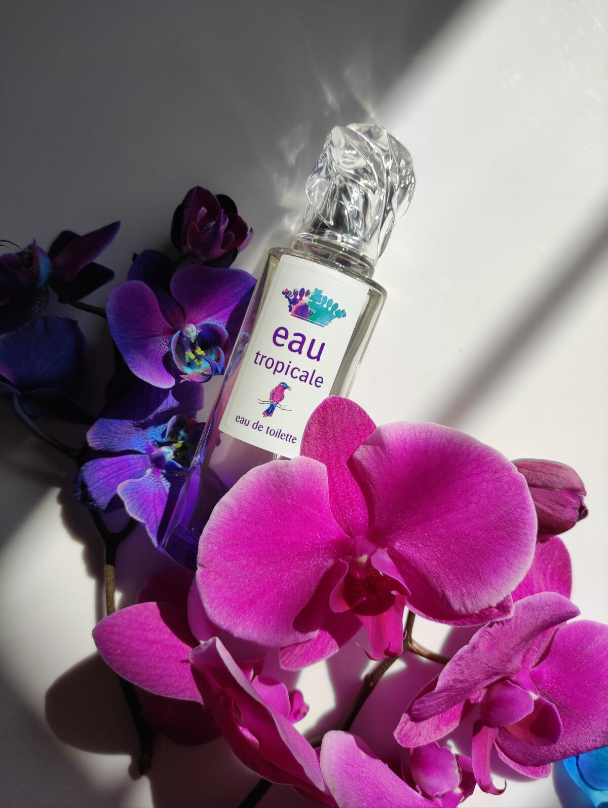 عطر ادکلن او تروپیکال سیسلی - Eau Tropicale Sisley - بررسی، قیمت و خرید