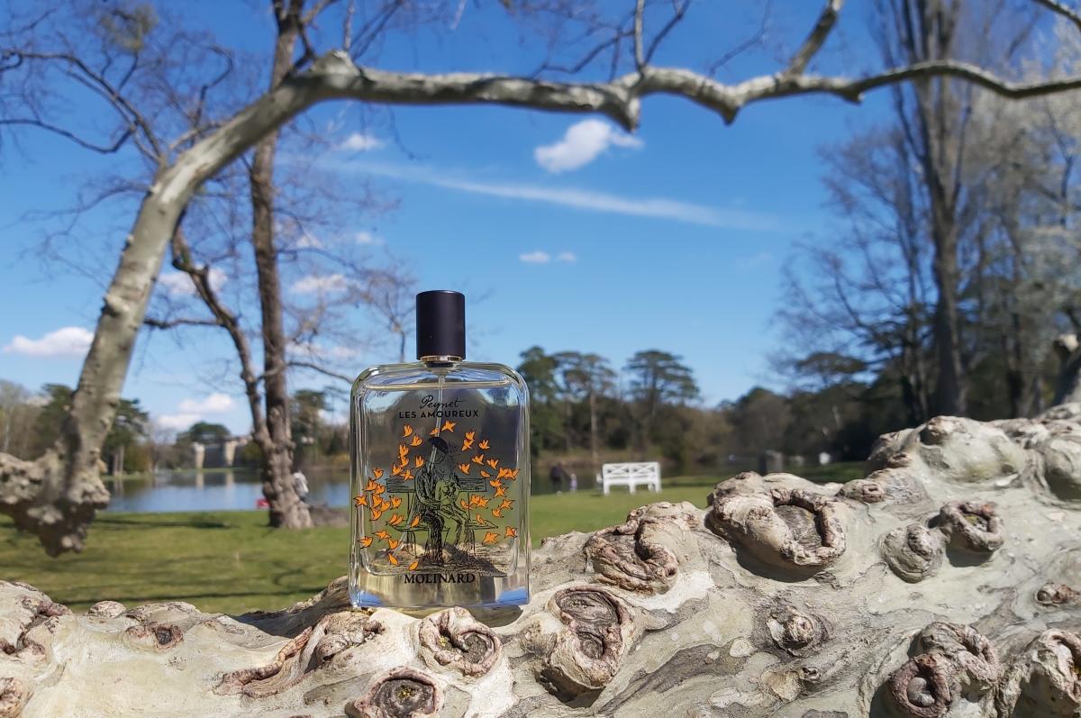 عطر ادکلن لزاموغ دوپنه مولینارد - Les Amoureux de Peynet Molinard - بررسی، قیمت و خرید