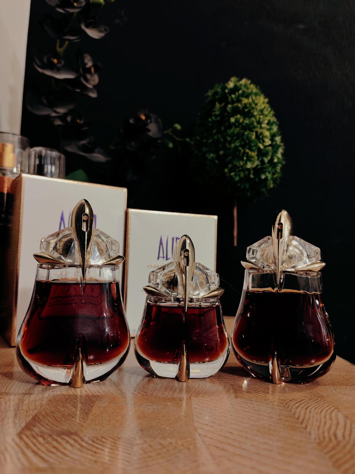 عطر ادکلن آلین اسنس ابسولو موگلر - Alien Essence Absolue Mugler - بررسی، قیمت و خرید