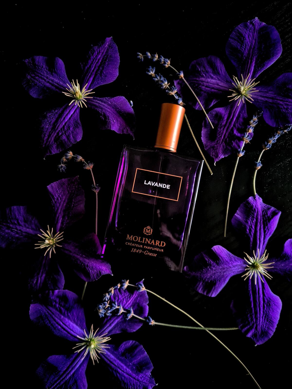 عطر ادکلن لاوانده او دو پرفیوم مولینارد - Lavande Eau de Parfum Molinard - بررسی، قیمت و خرید