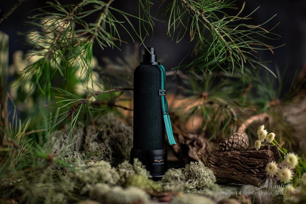 عطر ادکلن تری دی سنت اِم اینت - 3-D Scent M.INT - بررسی، قیمت و خرید