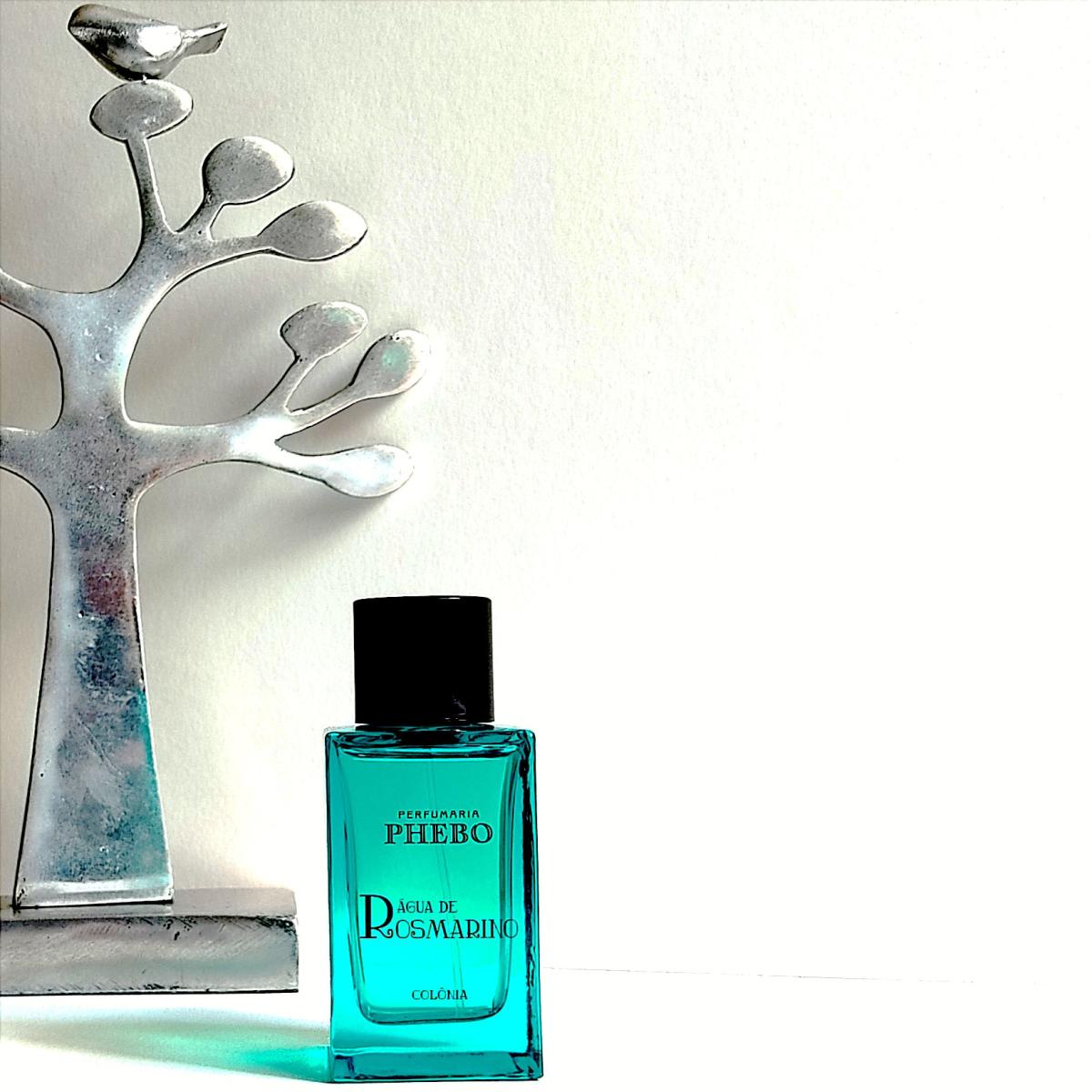 عطر ادکلن آگوا د روسمارینو فیبو - Água de Rosmarino Phebo - بررسی، قیمت و خرید