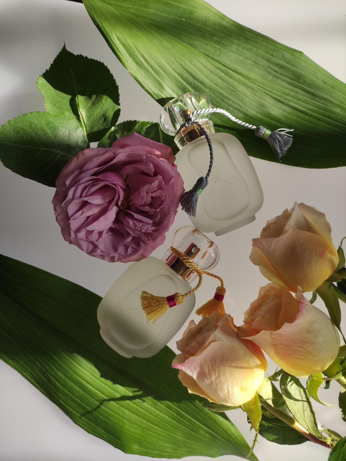 عطر ادکلن رز دته له پارفوم دو روزین - Rose d'Ete Les Parfums de Rosine - بررسی، قیمت و خرید