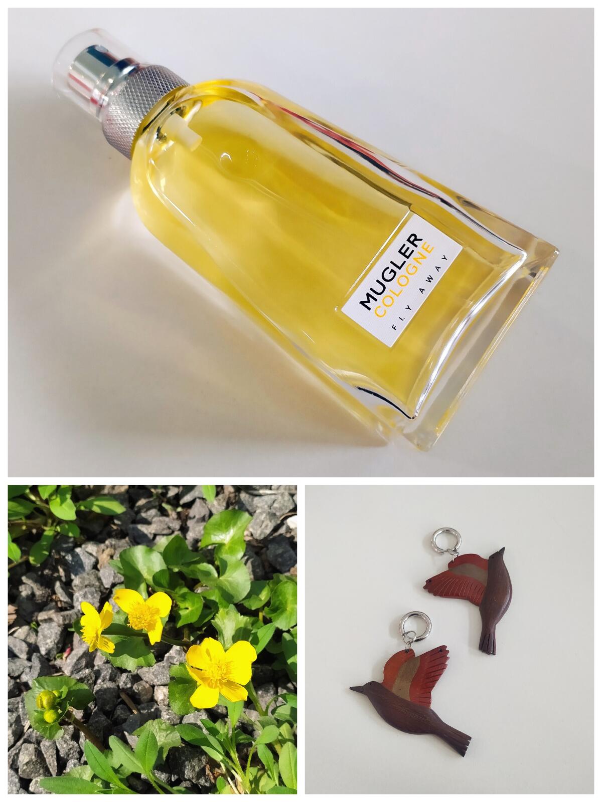 عطر ادکلن ماگلر کلن فلای اوی ماگلر - Mugler Cologne Fly Away Mugler - بررسی، قیمت و خرید