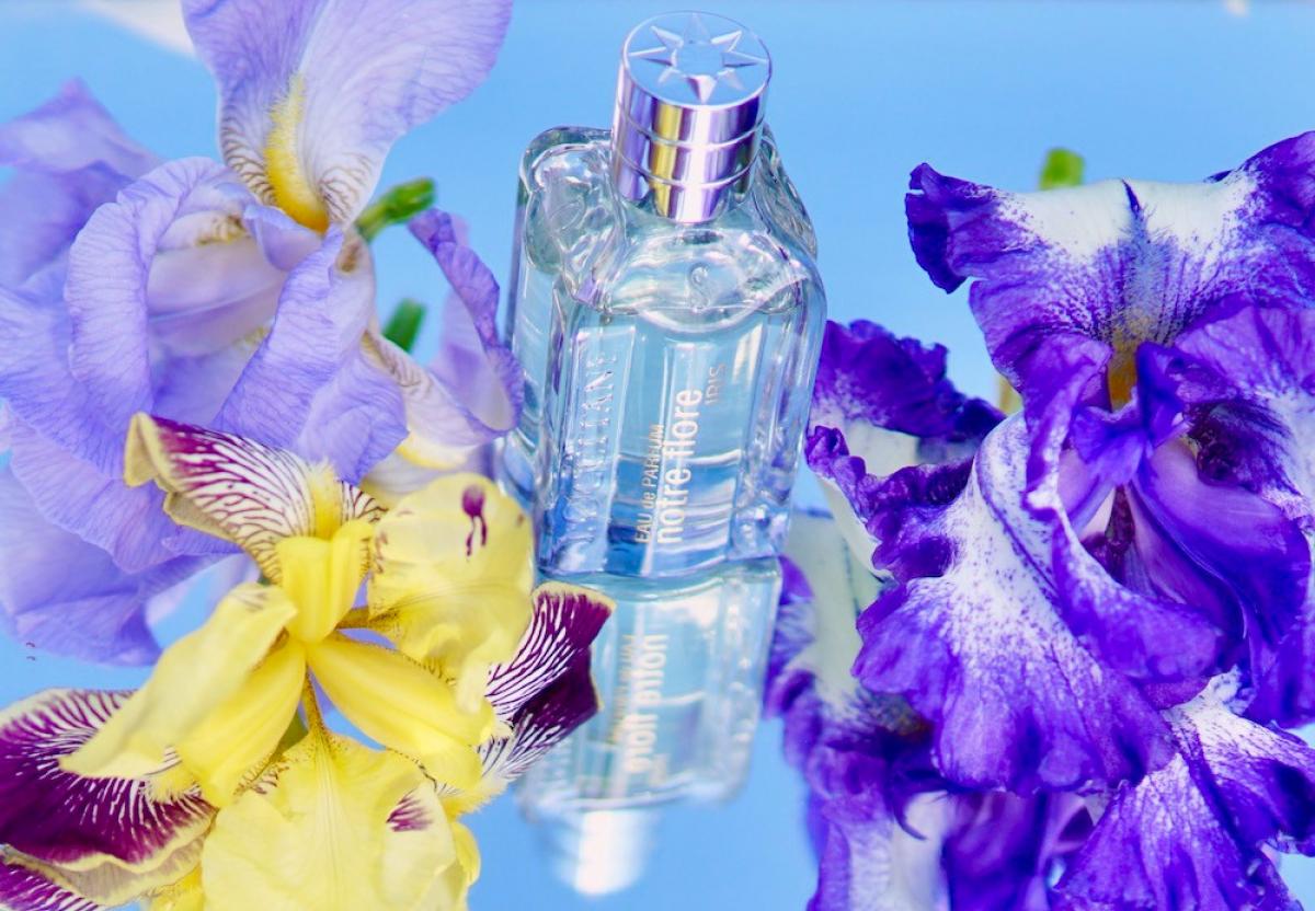 عطر ادکلن نوتغ فلور آیریس لُوکیتان اِن پرووانس - Notre Flore Iris L'Occitane en Provence - بررسی، قیمت و خرید