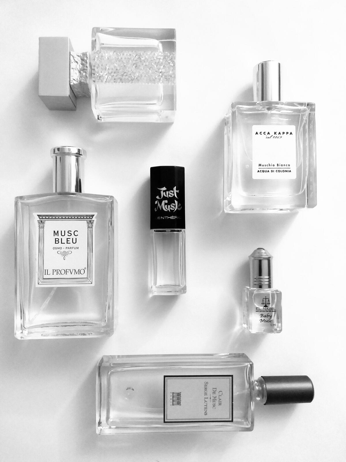 عطر ادکلن رویال ماسکا ام میکالف - Royal Muska M. Micallef - بررسی، قیمت و خرید