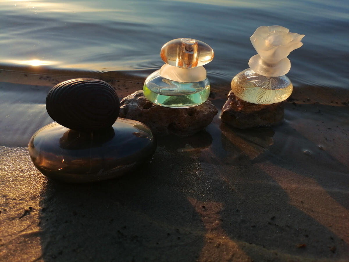 عطر ادکلن لُ مُند اِس بُو کنزو - Le Monde Est Beau Kenzo - بررسی، قیمت و خرید