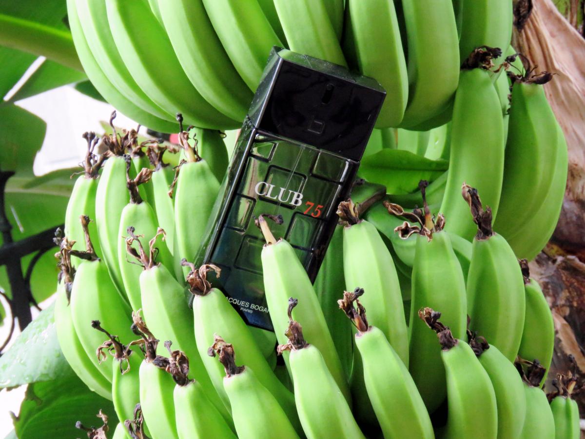 عطر ادکلن کلاب سونتی فایو ژاک بوگارت - Club 75 Jacques Bogart - بررسی، قیمت و خرید