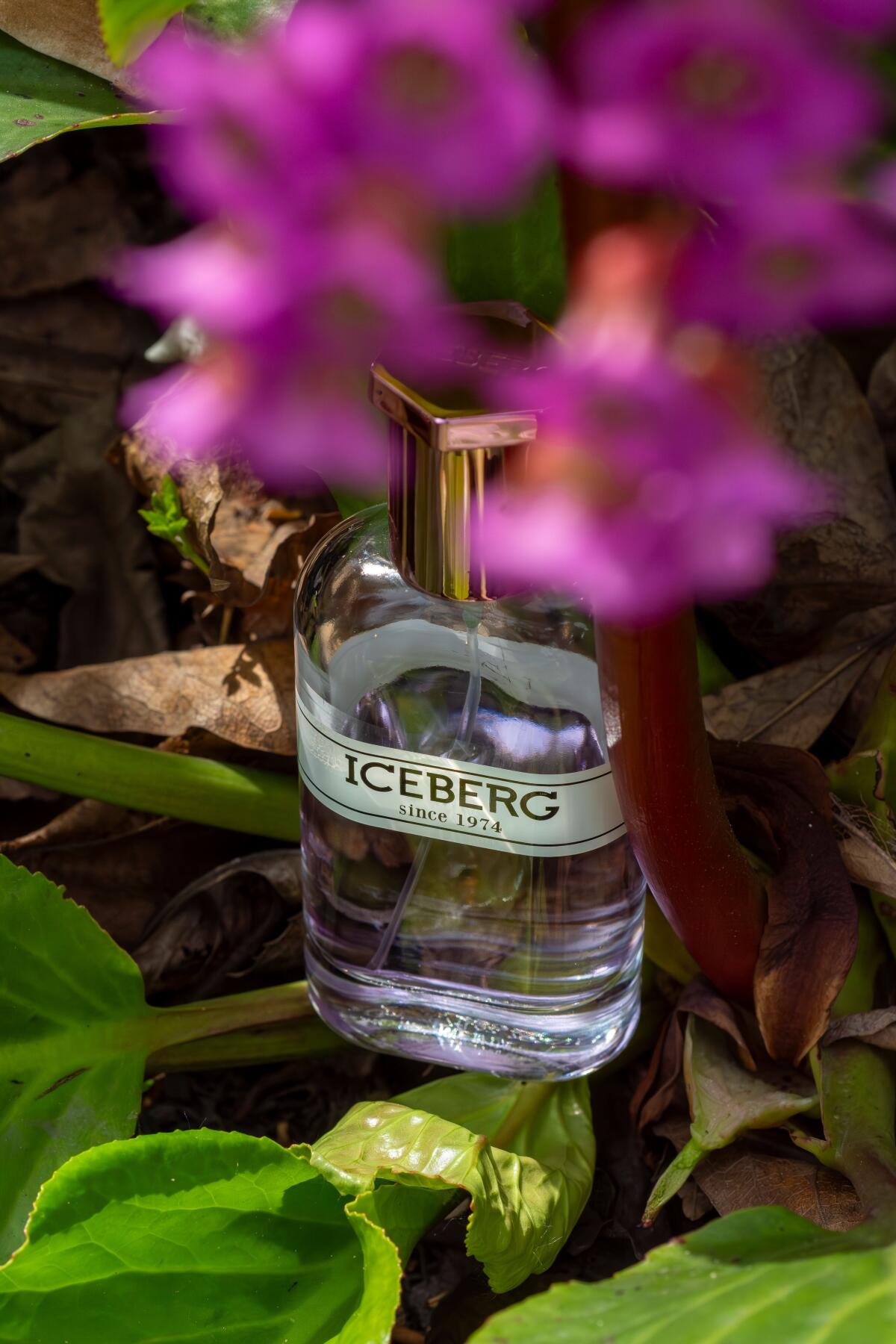 عطر ادکلن آیس برگ آیسبرگ - Iceberg Since 1974 for Her Iceberg - بررسی، قیمت و خرید