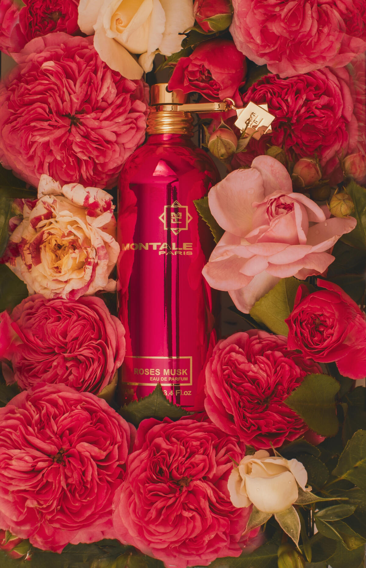 عطر ادکلن رزز ماسک مونتال - Roses Musk Montale - بررسی، قیمت و خرید
