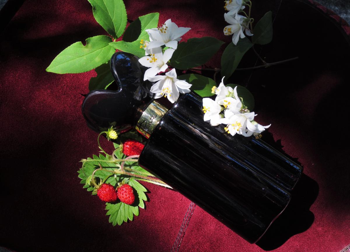 عطر ادکلن میدنایت امبر اسکار د لا رنتا - Midnight Amber Oscar de la Renta - بررسی، قیمت و خرید