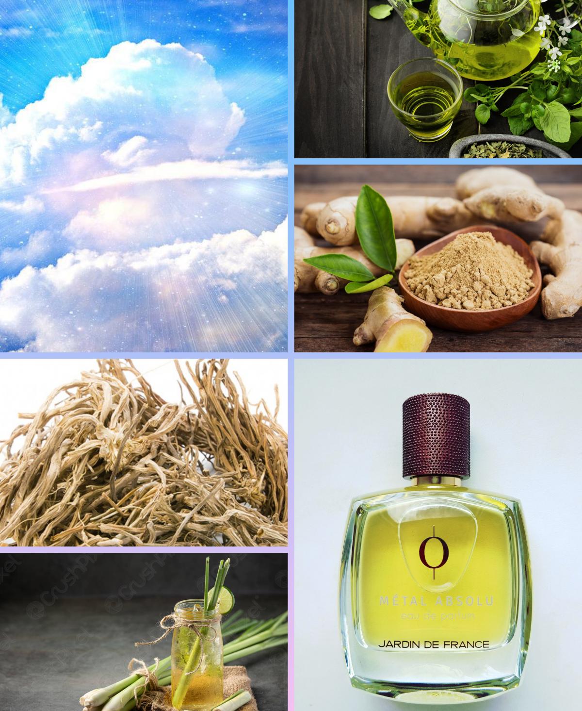 عطر ادکلن متال ابسلو ژاردن دو فرانس - Metal Absolu Jardin de France - بررسی، قیمت و خرید