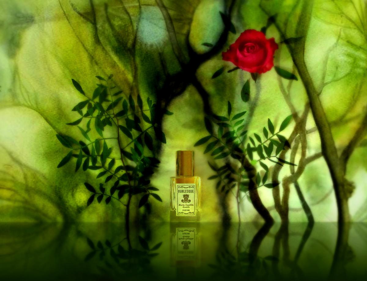 عطر ادکلن برلسک ماریا کندیدا جنتیله - Burlesque Maria Candida Gentile - بررسی، قیمت و خرید