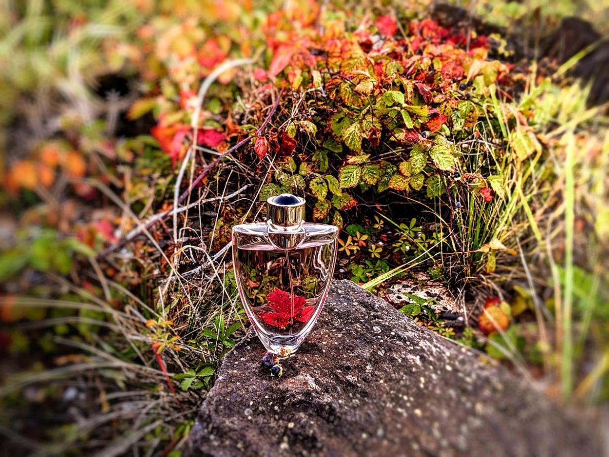 عطر ادکلن فم اندیویدوال مون‌بلانک - Femme Individuelle Montblanc - بررسی، قیمت و خرید