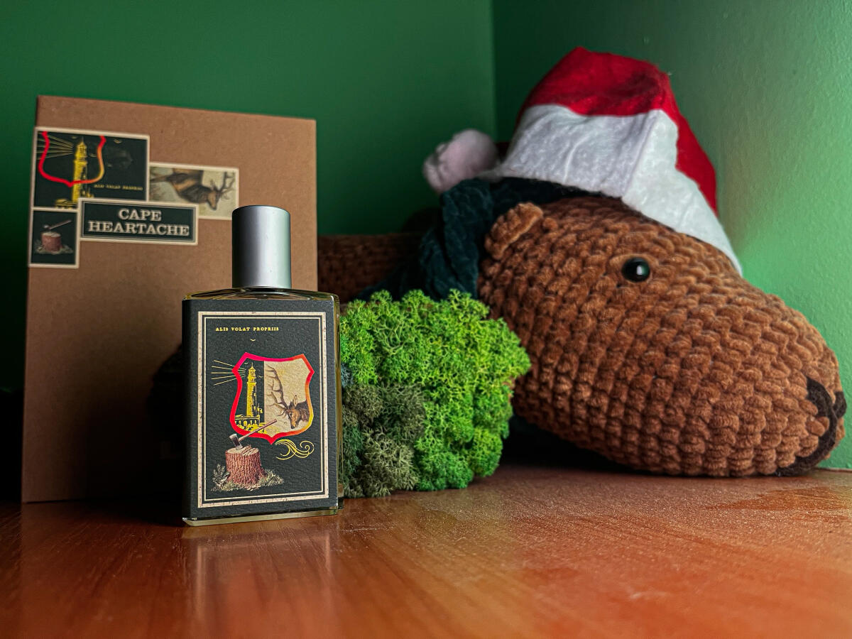 عطر ادکلن کیپ هارتیک ایمجینری آثرز - Cape Heartache Imaginary Authors - بررسی، قیمت و خرید