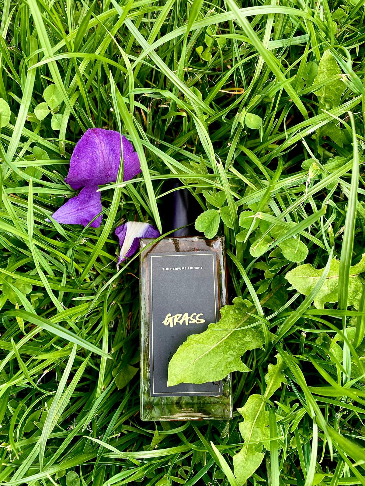 عطر ادکلن گِرَس لاش - Grass Lush - بررسی، قیمت و خرید
