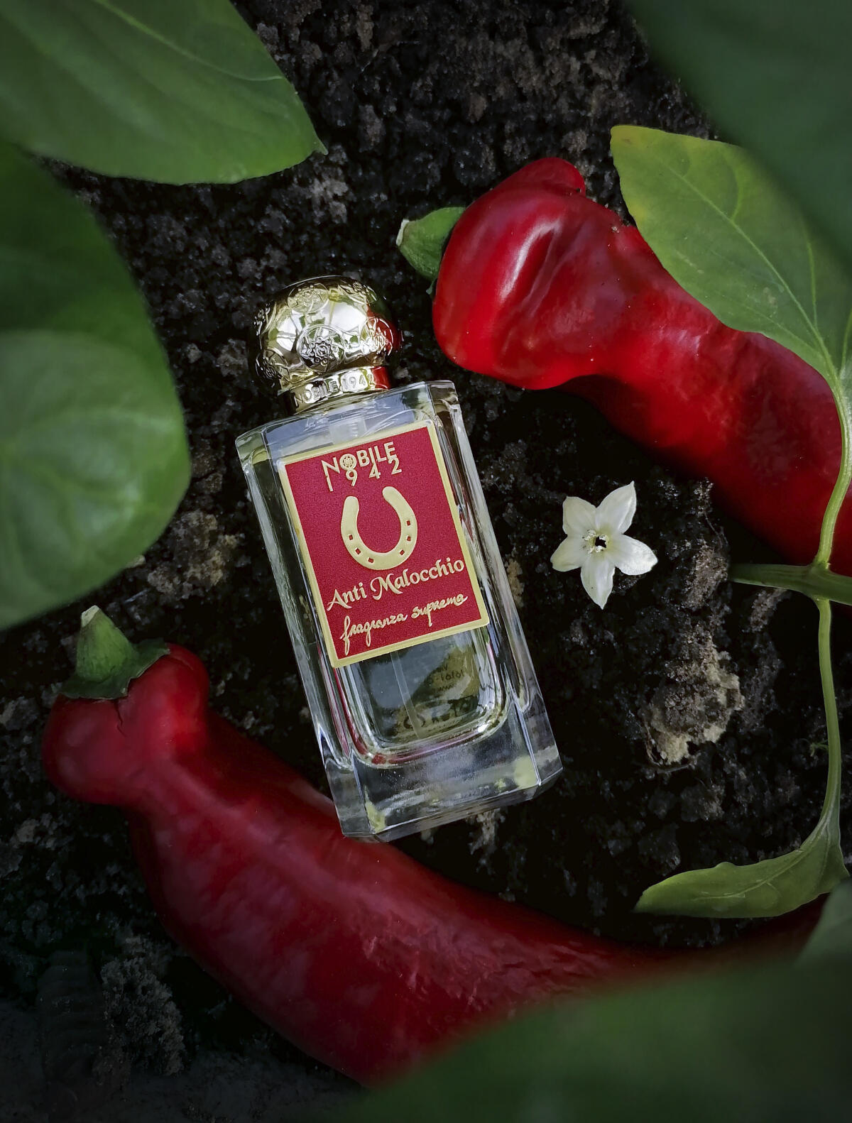 عطر ادکلن آنتی مالوکیو نوبیل ۱۹۴۲ - Anti Malocchio Nobile 1942 - بررسی، قیمت و خرید