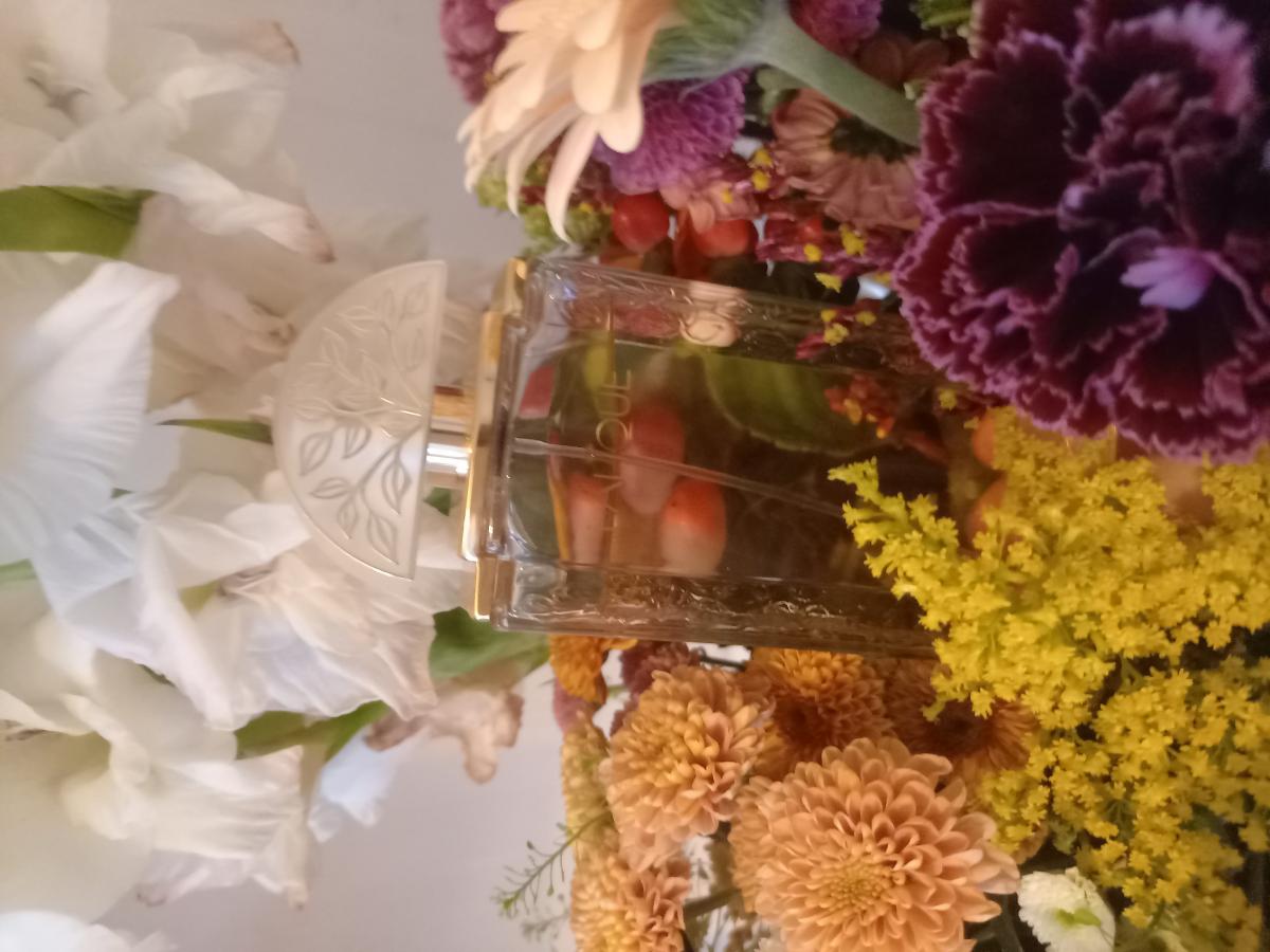 عطر ادکلن لالیک د لالیک توینیتث انیورسری لیمیتد ادیشن لالیک - Lalique de Lalique 20th Anniversary Limited Edition Lalique - بررسی، قیمت و خرید