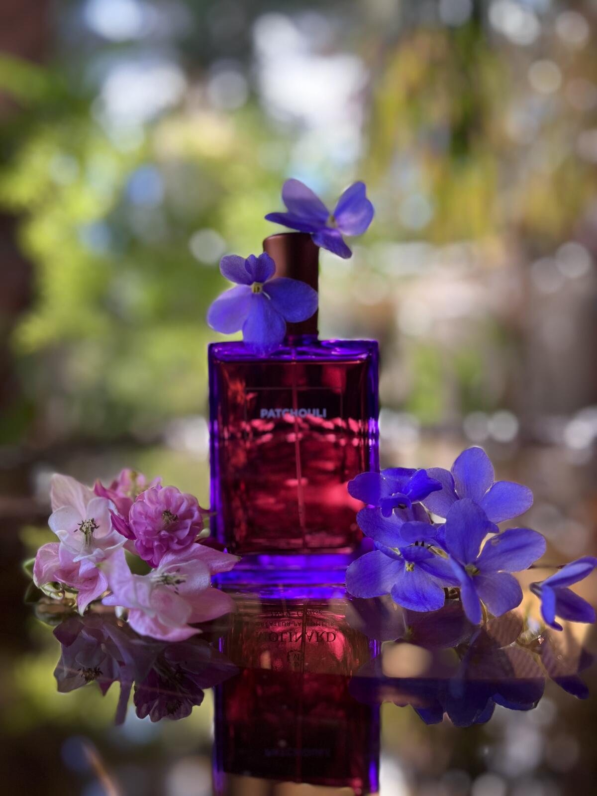 عطر ادکلن پچولی ادو پرفیوم مولینارد - Patchouli Eau de Parfum Molinard - بررسی، قیمت و خرید