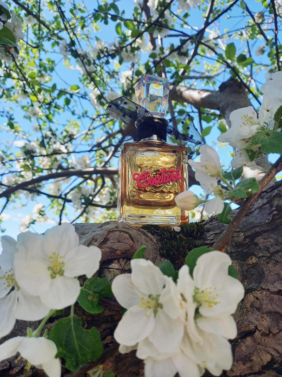 عطر ادکلن ویوا لا جوسی گلد کوتور جوسی کوتور - Viva la Juicy Gold Couture Juicy Couture - بررسی، قیمت و خرید