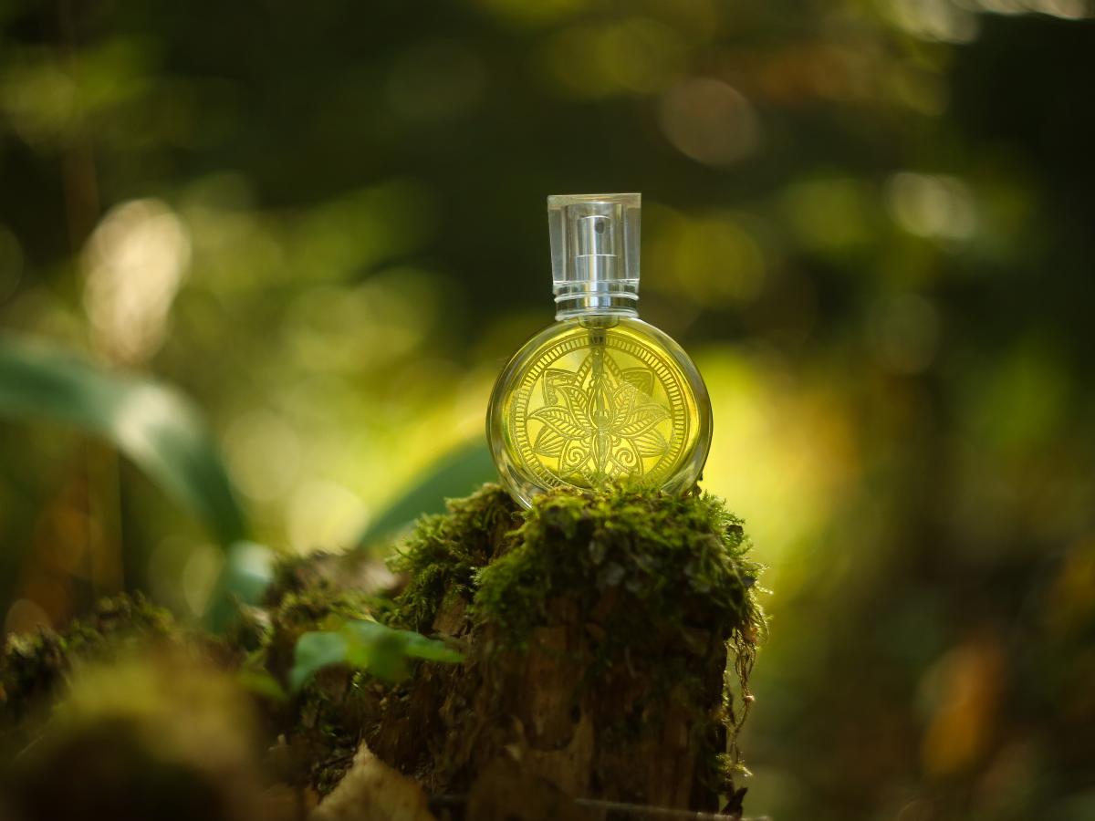 عطر ادکلن اودولن هرب لادنیکا - Odolen Herb Одолень-трава Ladanika - بررسی، قیمت و خرید