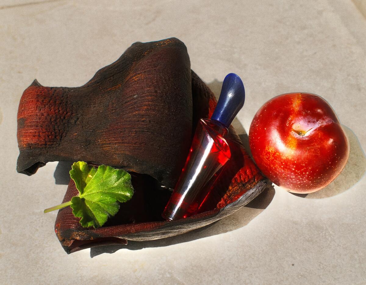 عطر ادکلن رز بای کاردن پیر کاردین - Rose by Cardin Pierre Cardin - بررسی، قیمت و خرید