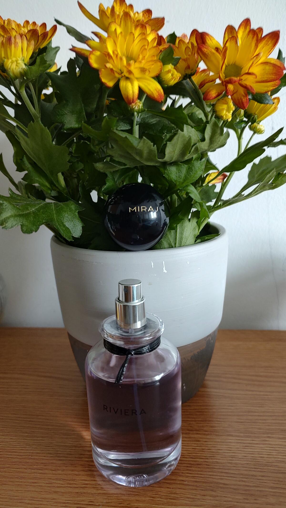 عطر ادکلن ریویرا میراج - Riviera Miraj - بررسی، قیمت و خرید