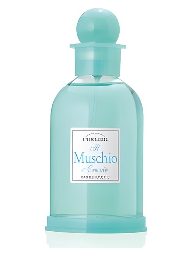 عطر ادکلن مشکیو ادو تویلت پرلیر - Muschio Eau de Toilette Perlier - بررسی، قیمت و خرید