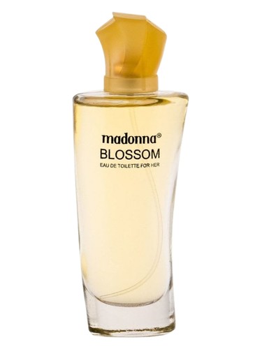 عطر ادکلن بلاسم مدانا یوکی - Blossom Madonna UK - بررسی، قیمت و خرید