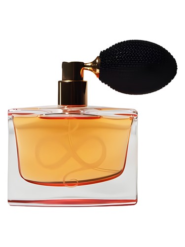 عطر ادکلن رز ادیشن رد گلد لندن - Rose Edition RED GOLD London - بررسی، قیمت و خرید