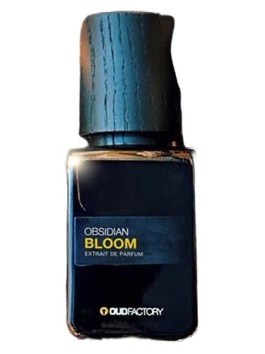 عطر ادکلن آبزیدین بلوم اود فکتوری - Obsidian Bloom Oud Factory - بررسی، قیمت و خرید