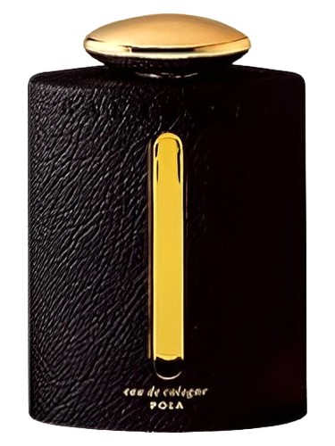 عطر ادکلن گالانتم پولا - Galantom II (Night Time) Pola - بررسی، قیمت و خرید