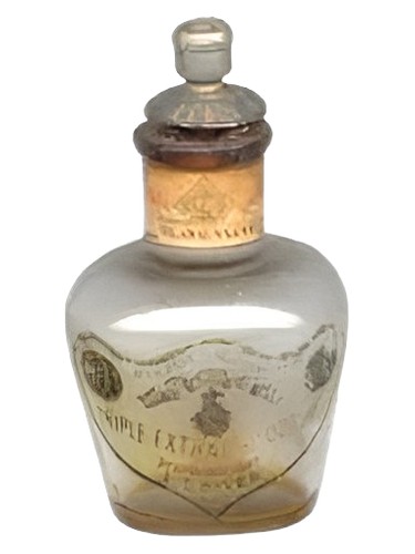 عطر ادکلن ایلانگ ایلانگ اِل تی پیور - Ylang-Ylang L.T. Piver - بررسی، قیمت و خرید