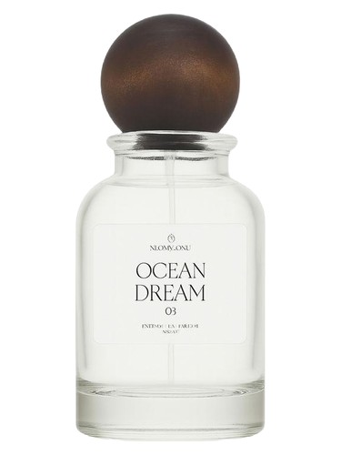 عطر ادکلن اوشن دریم مونکوکو - Ocean Dream Monkoku - بررسی، قیمت و خرید