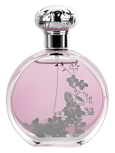 عطر ادکلن دریمی دیز مارکس اند اسپنسر - Dreamy Days Marks & Spencer - بررسی، قیمت و خرید