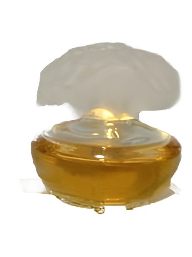 عطر ادکلن اورنج صحرا پوپا - Orange Sahara Pupa - بررسی، قیمت و خرید