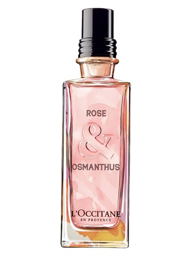عطر ادکلن رز و عثمانتوس لوکسیتان - Rose & Osmanthus L'Occitane en Provence - بررسی، قیمت و خرید