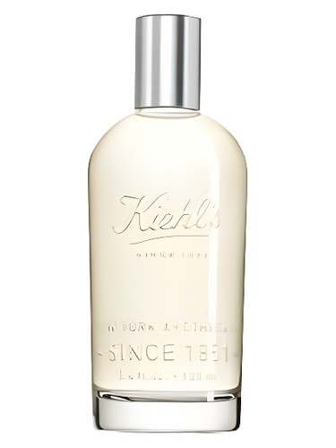 عطر ادکلن آروماتیک بلندز: پچولی و فرش رز کیلز - Aromatic Blends: Patchouli & Fresh Rose Kiehl's - بررسی، قیمت و خرید
