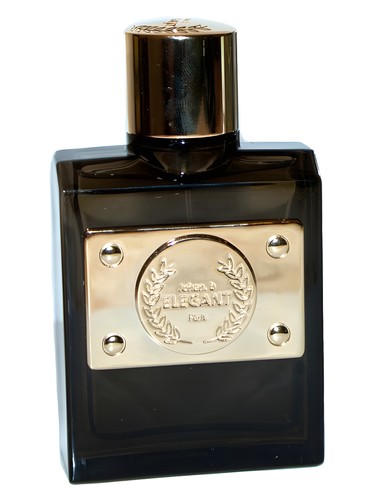 عطر ادکلن الگنت گلد یوهان بی - Elegant Gold Johan B - بررسی، قیمت و خرید