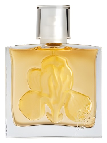عطر ادکلن آیریس این لاو کایوتیس - Iris in Love Kiotis - بررسی، قیمت و خرید