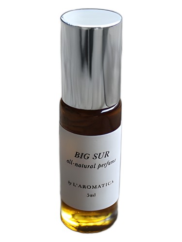 عطر ادکلن بیگ سور آروماتیکا پرفیوم - Big Sur L'Aromatica Perfume - بررسی، قیمت و خرید