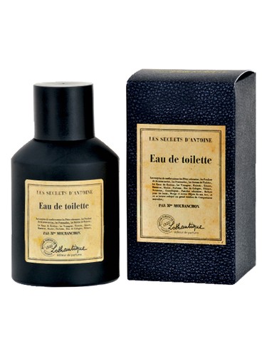 عطر ادکلن اُ دُ توالِت لوثانتیک - Eau de Toilette Lothantique - بررسی، قیمت و خرید