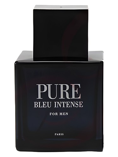 عطر ادکلن پیور بلو اینتنس کارن لو - Pure Bleu Intense Karen Low - بررسی، قیمت و خرید