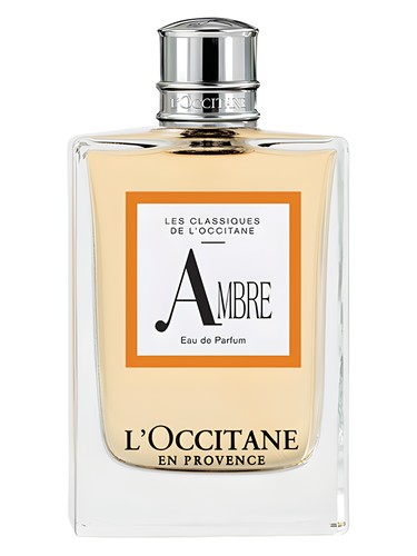 عطر ادکلن امبر لوکستان - Ambre L'Occitane en Provence - بررسی، قیمت و خرید