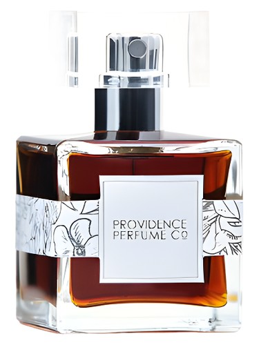 عطر ادکلن هارت آو دارکنس پروویدنس پرفیوم کو - Heart of Darkness Providence Perfume Co. - بررسی، قیمت و خرید
