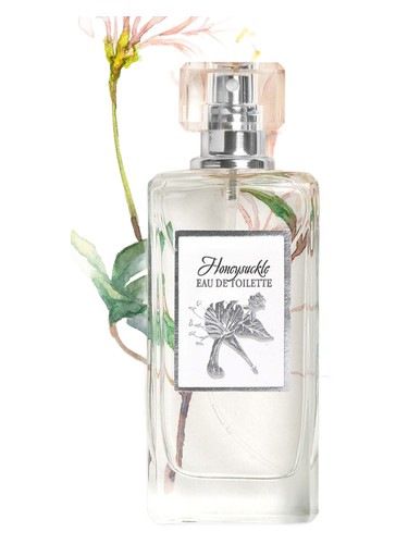 عطر ادکلن هانیزاکل نینل پرفیوم - Honeysuckle Ninel Perfume - بررسی، قیمت و خرید