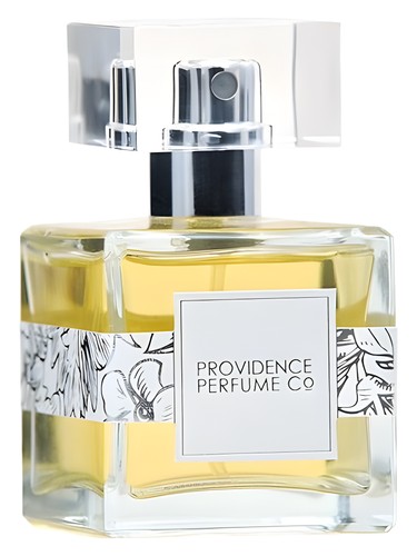 عطر ادکلن وینتیان پروویدنس پرفیوم کو - Vientiane Providence Perfume Co. - بررسی، قیمت و خرید